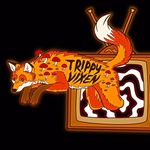 Olivia Olds - @trippyvixencreations - Instagram