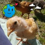 Olivia Olmstead - Facebook
