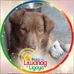 Olivia Orange - Facebook