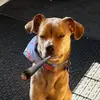 oliviaoravec - @thebeanolive - TikTok