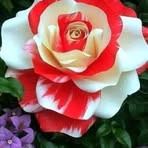 Olivia Osorio - Facebook