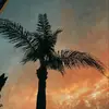 olivia - @ott.olivia - TikTok