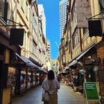 Olivia Bear Huang - @oliviaours - Instagram