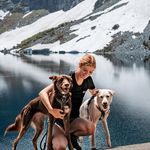 Olivia Morris + The Pack | Embracing the Elements - @withmyelements - Instagram