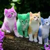 Olivia Pack782 - @oliviapack782 - TikTok