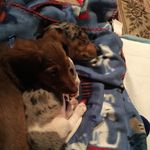 Carmen Olivia Padgett - @carmenoliviapadgett - Instagram