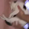 olivia.panek - @olivia..panek - TikTok