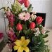 Olivia Paramo - Facebook