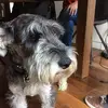Olivia Paré  - @jackipou - TikTok