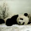 oliviaParen - @oliviaparen - TikTok