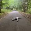 Olivia - @oliviaparman - TikTok