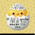 Olivia Partida - @olivia.partida.12 - Instagram