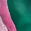 Olivia Peacock245 - @oliviapeacock89.x - TikTok