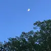 olivia.peacock12 - @olivia.peacock12 - TikTok