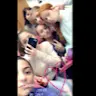 Olivia Perillo54 - @oliviaperillo54 - TikTok