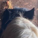 Olivia Pierce - @l1v_eq - Instagram