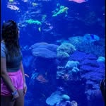 Olivia Prescott - @oliviaaa__prescott - Instagram