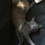 Olivia Proctor - @c.a.t_s.n.a.p.s - Instagram