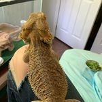Olivia Proctor - @proctor2289 - Instagram