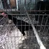 Olivia Puente - @oliviapuente6 - TikTok