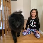Olivia Quinlan - @olivia_lovesdogs - Instagram