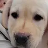 oliviaquinlan0 - @oliviaquinlan0 - TikTok