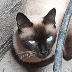 Olivia Farfan Quiroga - @quirogaoliviafarfan - Instagram