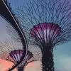 Olivia Quiroz - @olivia.quiroz5 - TikTok