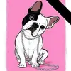 Olivia Quiroz - @olivia.quiroz79 - TikTok