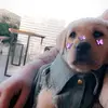 olivia.ramage03 - @olivia.ramage0309 - TikTok