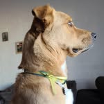 Olivia Ramon - @ocramon005 - Instagram