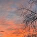 Olivia Ramsey - Facebook