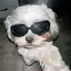 Olivia - @olivia.randol - TikTok