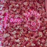 OLIVIA R.M.G.EURiCO🩷🩷🩷🩷🩷 - @olivia_rayana - Instagram