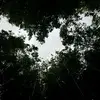 Olivia.reader - @olivia.reader - TikTok