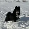 Olivia Regalado - @oliviaregal137 - TikTok