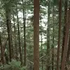 oliviareiber1 - @oliviareiber1 - TikTok