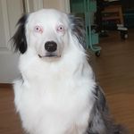 Olivia Richmond - @oroliviarichmond2021 - Instagram