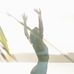 Olivia Riggley - Facebook