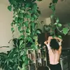 Olivia Rivas - @olivia.rivas06 - TikTok