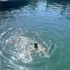 OliviaRohmann - @oliviarohmann - TikTok