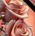 Olivia Salgado - Facebook