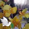 Olivia Sandoval - @olivia.sandoval8 - TikTok