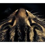 Olivia Santoro - @os_artsypics - Instagram
