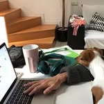 Olivia Schoch - @my.office.here.and.now - Instagram