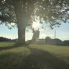 OlIvIA Schwartz - @oliviaschwartz6 - TikTok
