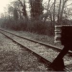 Olivia Sellers - @os_photography_2020 - Instagram
