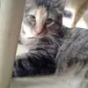 Olivia shafer - @68000959 - TikTok
