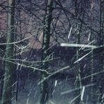 Olivia Shank - @olivia__shank_photography_cn22 - Instagram