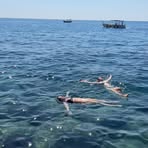 Olivia Shannon - Facebook
